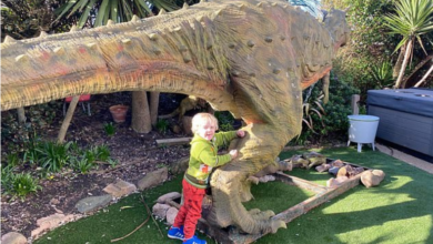 Photo of What happened after a 20-foot dinosaur came home?